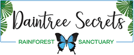 DOWN UNDER online Website Design Client Reviews Daintree Secrets